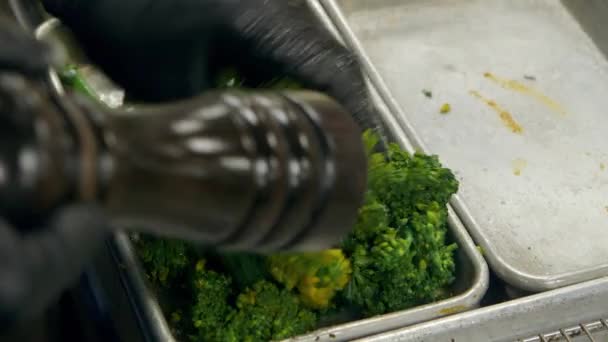 Σεφ Εποχές Και Πετά Broccolini Στο Δίσκο Upscale Κουζίνα Εστιατόριο — Αρχείο Βίντεο