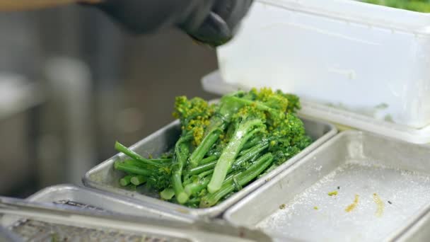 Chef Cucina Ristorante Prepara Stagiona Broccolini Prima Cucinarlo — Video Stock