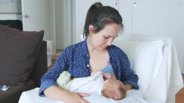 Mãe Orgulhosa Com Sutiã Maternidade Amamenta Seu Bebê Travando Cadeira — Vídeo de Stock