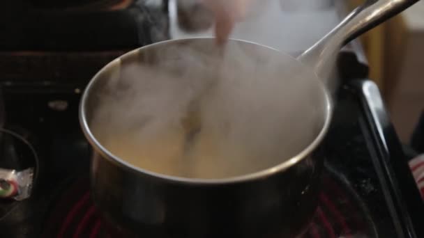 Mélange Une Soupe Chaude Dans Une Casserole Gros Plan Plan — Video