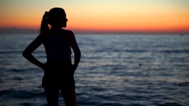 Una Silhouette Una Giovane Signora Sexy Piedi Sulla Riva Con — Video Stock