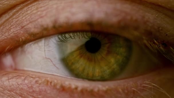 Mesmerizante Olhos Avelã Verde Abertura Fechamento Macro Tiro — Vídeo de Stock