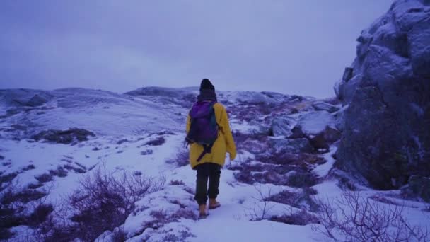 Hiking Snowy Mountain Winter Person Hiker Going Deep Snow — Stock Video