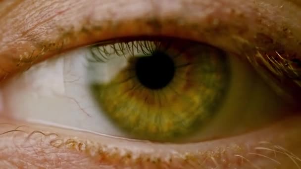 Piwne Zielone Oko Otwierające Się Zamykające Ekstremalnym Zbliżeniu — Wideo stockowe