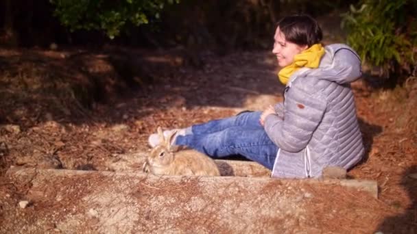 Séance Alimentation Idyllique Avec Des Lapins Sauvages Une Femme Kunoshima — Video