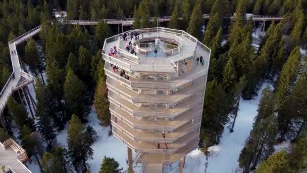 Drone Tiro Arco Del Camino Copa Del Árbol Pohorje Las — Vídeo de stock