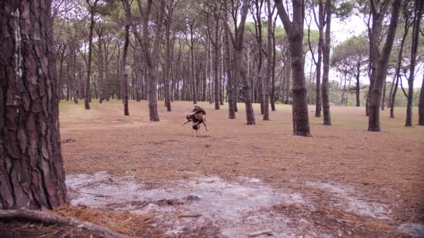 Ballet Dansant Aux Pieds Nus Milieu Parc Centenaire Plan Large — Video