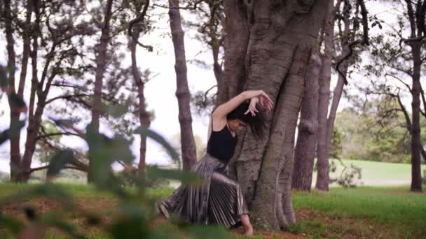 Bailando Por Naturaleza Moviéndose Hermoso Bosque Pinos Australia Slow — Vídeos de Stock