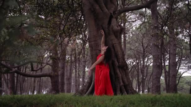 感謝と愛の自然の調律に赤いダンスの女性 ワイドショット — ストック動画