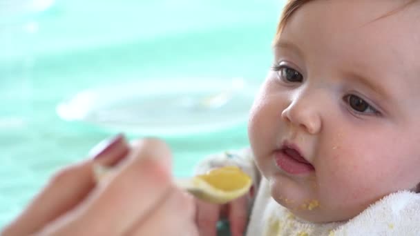 Een Moeder Hand Met Een Lepel Babyvoeding Wordt Rondgedraaid Net — Stockvideo