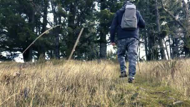 一个徒步旅行者正在森林中散步 低角度 — 图库视频影像