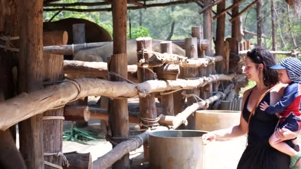 Mutter Trägt Kind Füttert Elefanten Zoo Thailand — Stockvideo