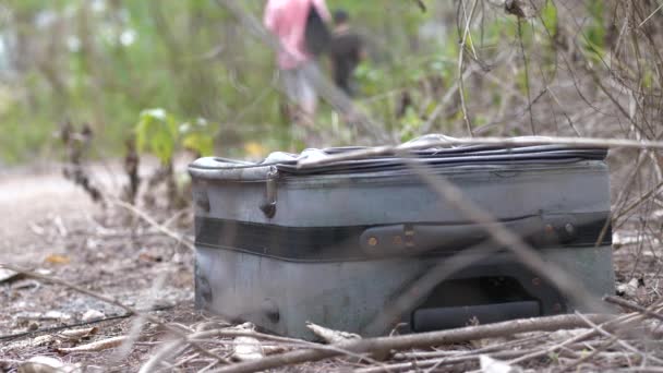 Koper Hilang Daerah Hutan Setelah Tsunami Yang Merusak — Stok Video