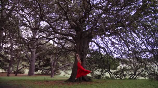 Una Ballerina Red Ensemble Che Esibisce Perfettamente Saut Seguito Rapidamente — Video Stock