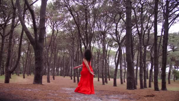 A Woman In Red Dress Gracefully Dancing Classical Ballet  In The Mud. -wide shot