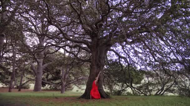 一个红衣芭蕾舞演员优雅地在大树前做着一个凸起的装饰 大范围射击 — 图库视频影像