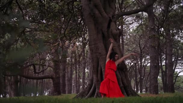 Uma Bailarina Vestido Elegante Fazendo Cambr Derrire Perto Grande Árvore — Vídeo de Stock