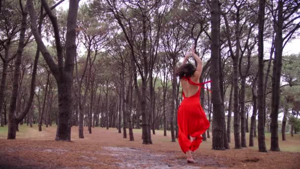 一个女芭蕾舞蹈家在森林公园的泥泞的地面中间做一个皮鲁埃特 大范围射击 — 图库视频影像