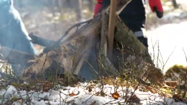 在雪地的冬季森林里 家人和狗围着篝火 近距离射击 — 图库视频影像