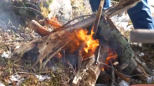 Brennendes Lagerfeuer Wald — Stockvideo