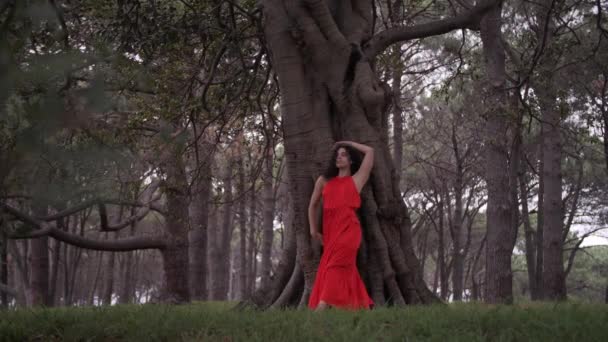 Artista Elegante Vestido Vermelho Dançando Ritmo Natureza Tiro Médio — Vídeo de Stock