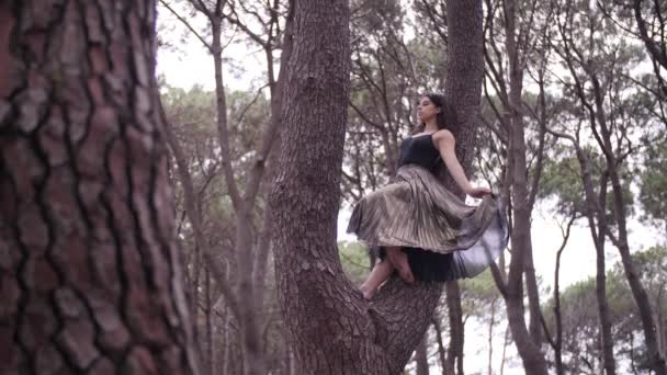 流行の黒のドレスの女性は 木の枝の上にバレエの発展段階を行っています ワイドショット — ストック動画