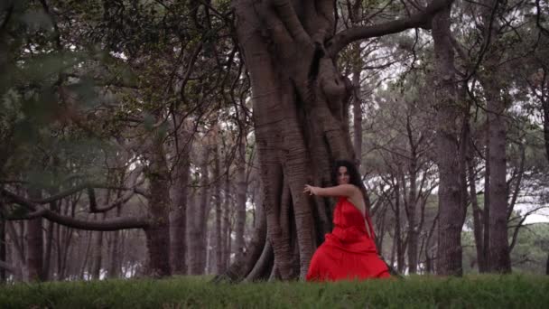 Piękna Kobieta Czerwonej Sukience Tańcząca Wdziękiem Dźwięku Natury Szeroki Strzał — Wideo stockowe