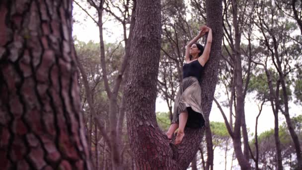 黒いドレスを着た女が木の上から足に届く — ストック動画