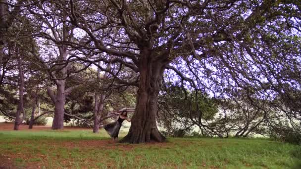Uma Mulher Elegante Preto Graciosamente Dançando Uma Série Saltos Balé — Vídeo de Stock