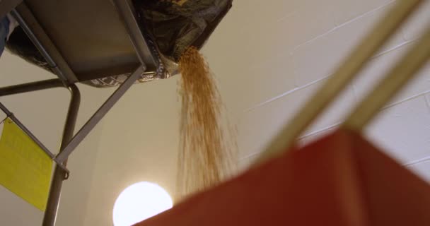 Tiro Medio Verter Lúpulo Elevador Grano Para Cerveza Artesanal — Vídeos de Stock