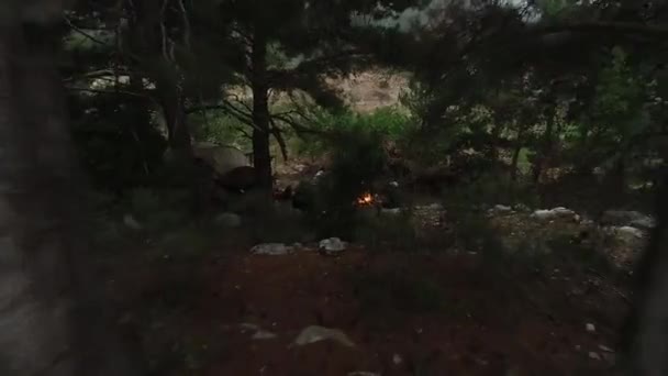 Voando Através Brecha Árvore Revelando Aventureiro Sentado Perto Acampamento Fogo — Vídeo de Stock