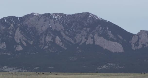 Colorado Mountain Met Koeienboerderij Aan Voorkant — Stockvideo