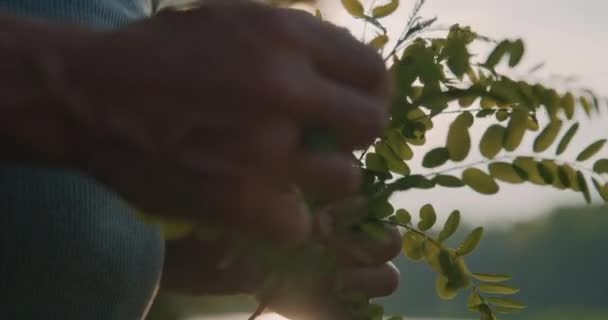 Skallig Solbränd Muskulös Man Leker Med Växter Vid Bäcken — Stockvideo