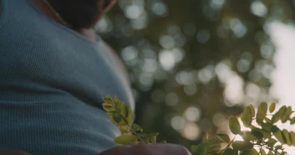 Dere Kenarındaki Bitkileri Inceleyen Kel Bronz Tenli Kaslı Bir Adam — Stok video
