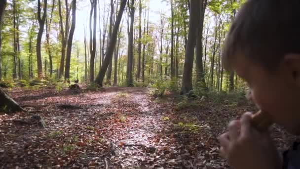 Ung Pojke Sitter Stocken Skogen Sved Äter Smörgås — Stockvideo