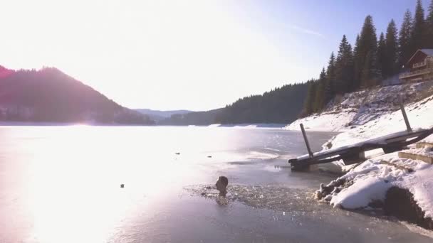 日光が輝き 背景にキャビンとリモート山の湖の凍結表面に反映されます 風光明媚な高山の背景を持つ凍った山の湖で泳ぐ男の空中ビュー — ストック動画