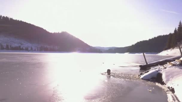 Hombre Sumergido Frío Lago Transilvania Día Invierno Amplio Tiro — Vídeo de stock