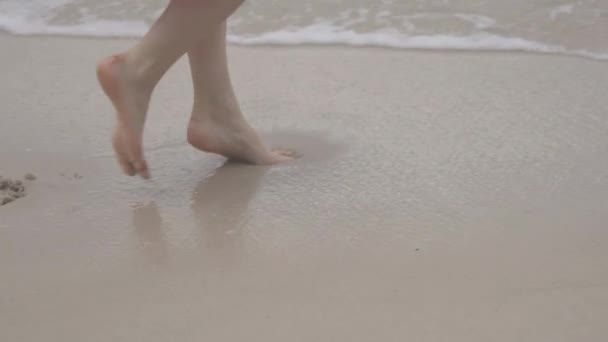 Гуляющая Пляжу Девушка — стоковое видео