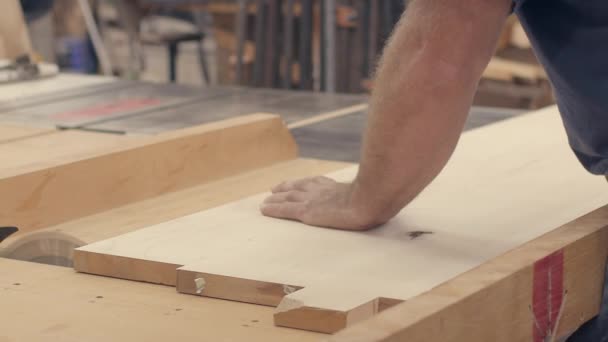 Ambachtsman Snijdt Hout Planken Een Tafel Zaag Houtschuur Slow Motion — Stockvideo