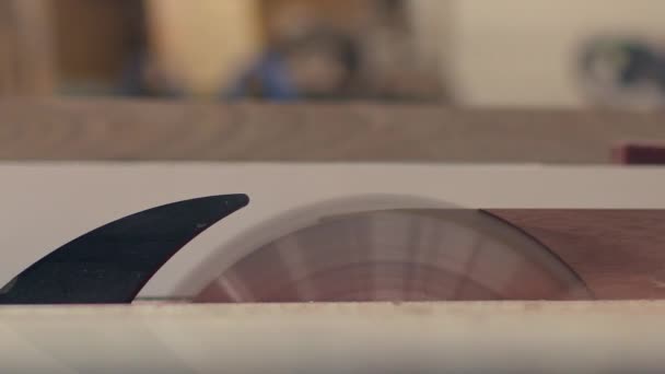 Μια Ξύλινη Σανίδα Ξυρίζεται Ένα Πριόνι Τραπέζι Κλείστε Την Πλαϊνή — Αρχείο Βίντεο