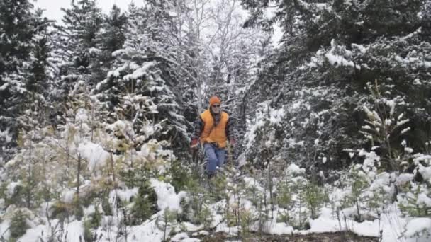 Fur Trapper Carries Beaver Pelt Boreal Forest Winter — Stock Video