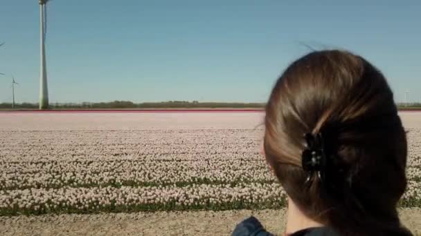 Primer Plano Mujer Está Viendo Disfrutando Vista Los Campos Tulipanes — Vídeo de stock
