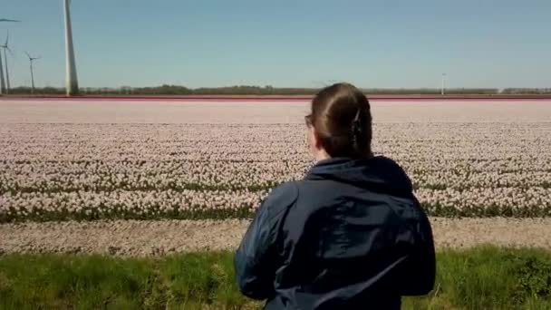 オランダの白いチューリップ畑の近くの景色を楽しみながら立っている女性のショットを閉じてドリー — ストック動画