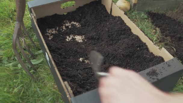 Brát Kompost Bohatý Živiny Lepenkové Krabice Lopatkou — Stock video