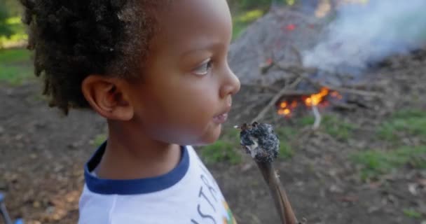 若い男の子は裏庭のキャンプファイヤーで調理された棒からローストしたマシュマロを食べる — ストック動画