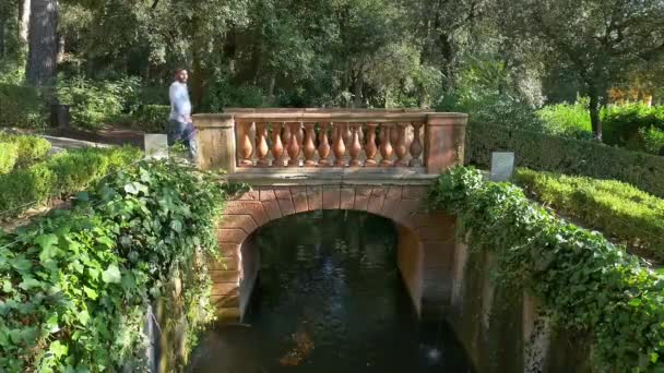 Молодой Человек Ходит Думает Одиночку Парке Через Небольшой Мост Над — стоковое видео