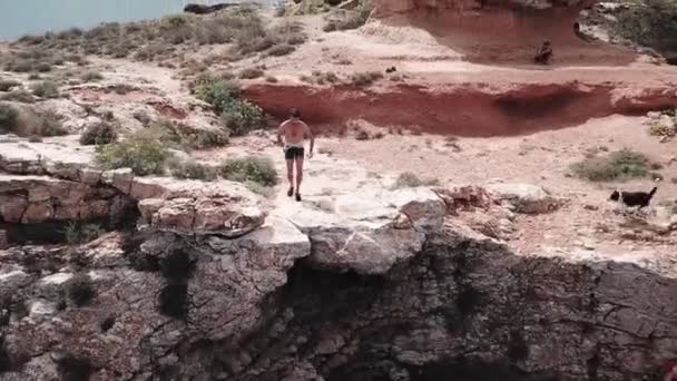 Uçurumdan Atlayıp Denize Atlarken Bir Adam Iki Köpek Hakkında Havadan — Stok video