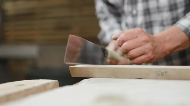 Joiner Uses Handsaw Cut End Piece Latch Batten End Piece — Stock Video