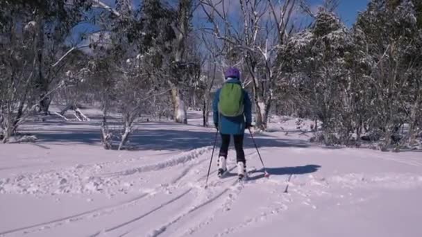 Vrouwen Intermediair Skiën Poeder Tussen Dikke Eucalypten Slow — Stockvideo