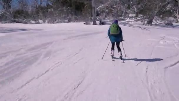 Vrouwen Intermediair Skiën Naar Beneden Geprepareerde Skipiste — Stockvideo